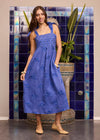 Agate Dress Fish on Blue