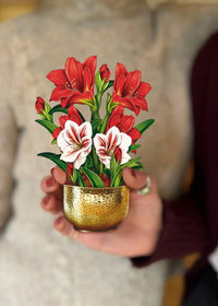 Mini Christmas Scarlet Amaryllis Pop-Up Card