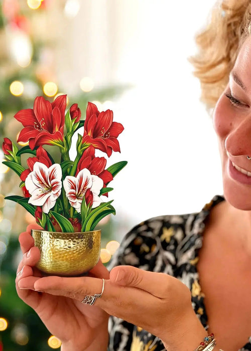 Mini Christmas Scarlet Amaryllis Pop-Up Card