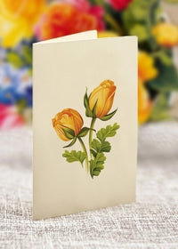 Mini Sorbet Roses Pop-Up Card