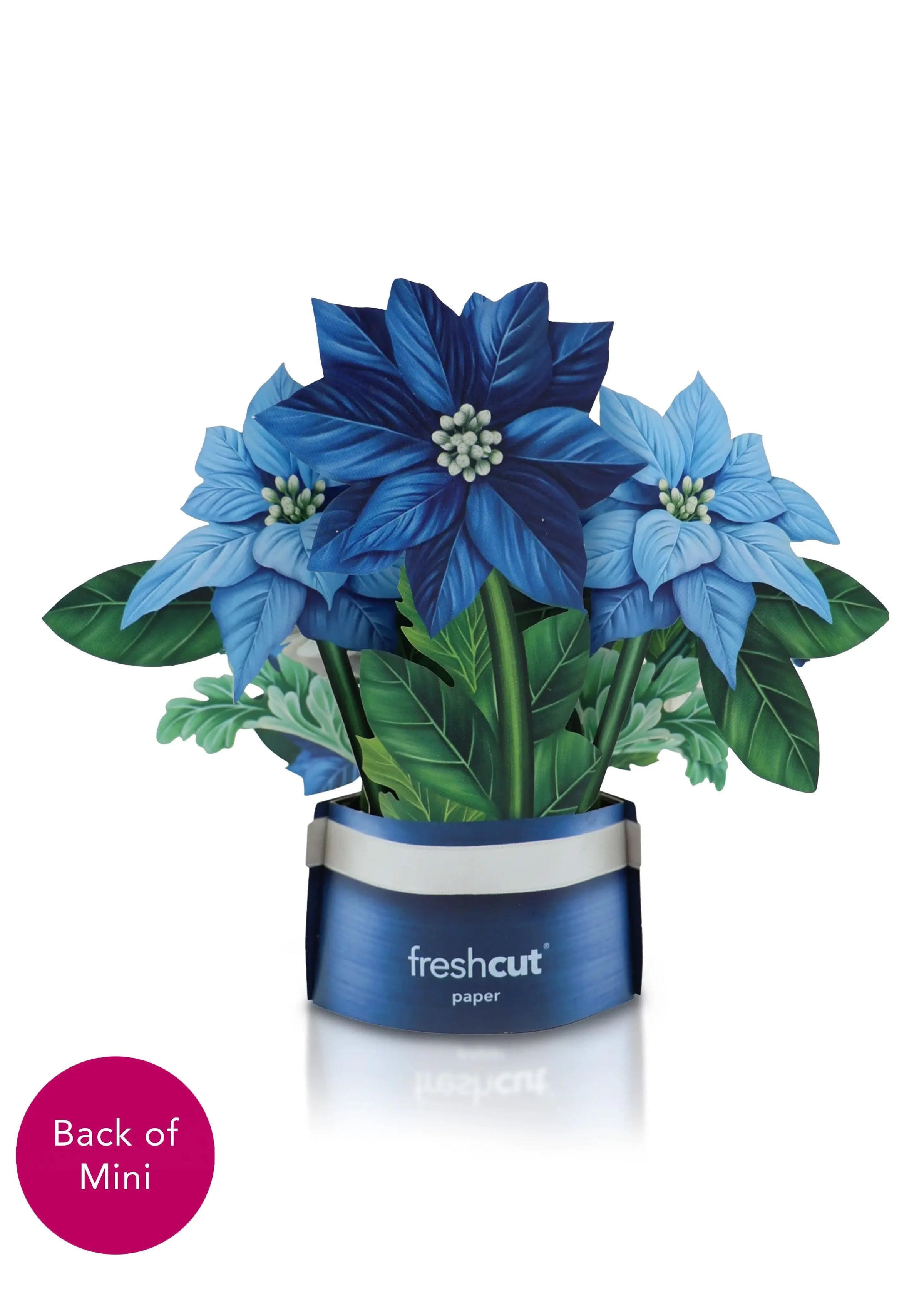 Mini Blue Poinsettia Pop-Up Card