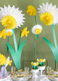 Hester & Cook Large Honeycomb Daffodil