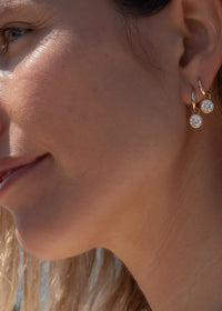 Dottie Small Hoops