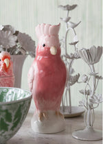 Cockatoo Pitcher