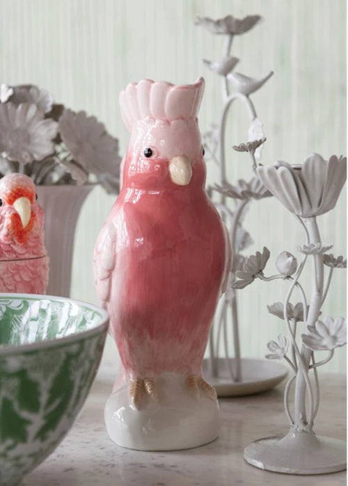 Cockatoo Pitcher
