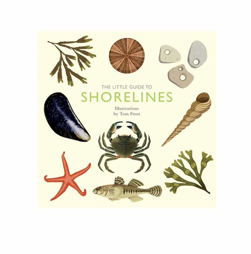 The Little Guide to Shorelines