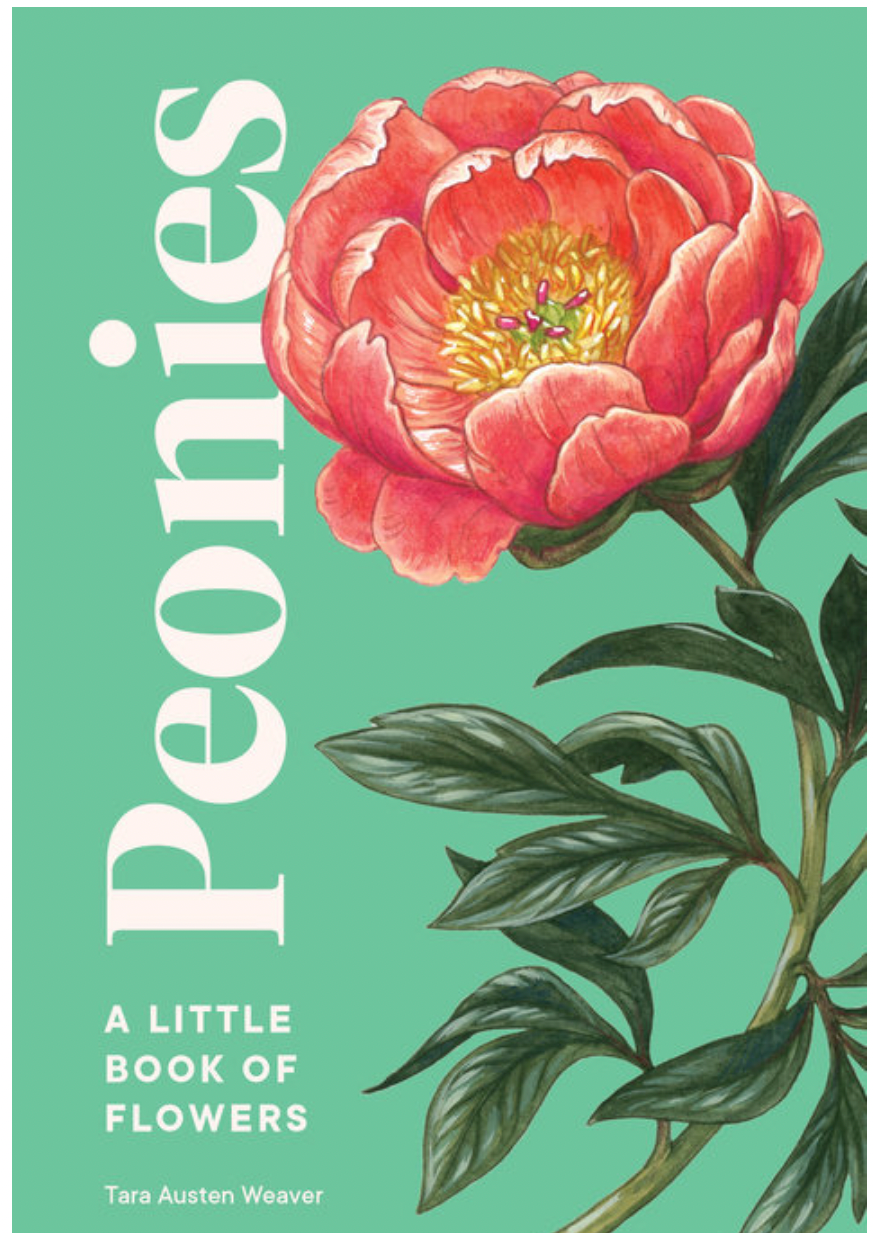 Peonies