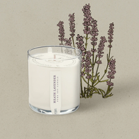 KOBO Heath Lavender Plant The Box Candle