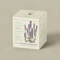 KOBO Heath Lavender Plant The Box Candle