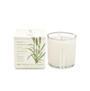 KOBO Fresh Cut Grass  Plant The Box Candle