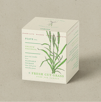 KOBO Fresh Cut Grass  Plant The Box Candle