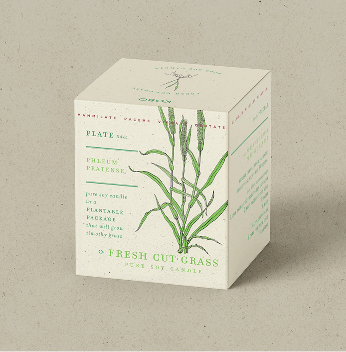 KOBO Fresh Cut Grass  Plant The Box Candle