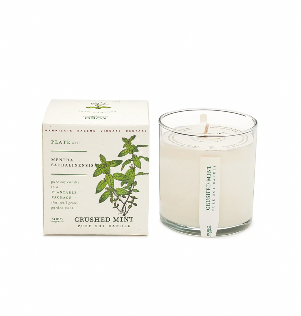 Kobo Seeds - Somerset Thyme - Candle