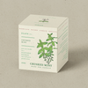 KOBO Crushed Mint Plant The Box Candle