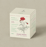 KOBO Siam Poppy Plant The Box Candle