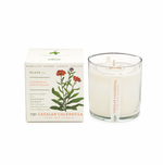 KOBO Catalan Calendula Plant The Box Candle