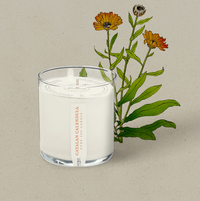 KOBO Catalan Calendula Plant The Box Candle