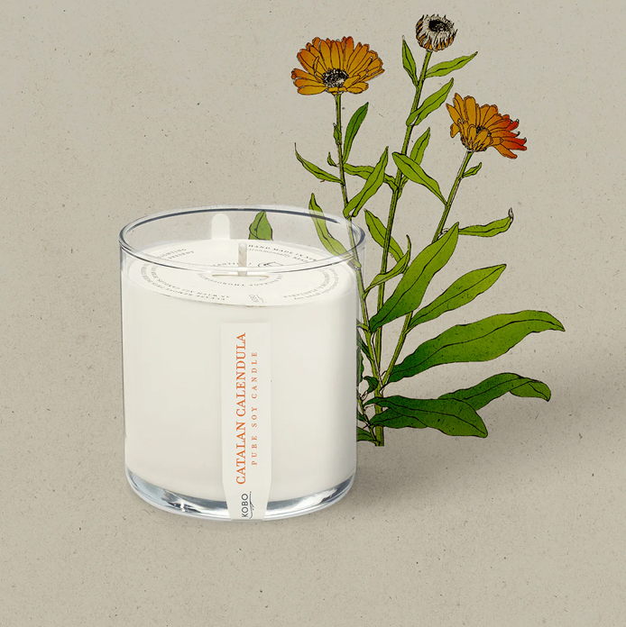 KOBO Catalan Calendula Plant The Box Candle