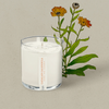 KOBO Catalan Calendula Plant The Box Candle