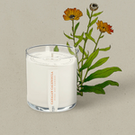 KOBO Catalan Calendula Plant The Box Candle