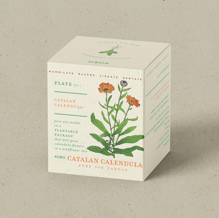 KOBO Catalan Calendula Plant The Box Candle