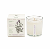 KOBO Somerset Thyme Plant The Box Candle
