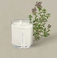 KOBO Somerset Thyme Plant The Box Candle