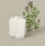 KOBO Somerset Thyme Plant The Box Candle