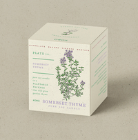 KOBO Somerset Thyme Plant The Box Candle