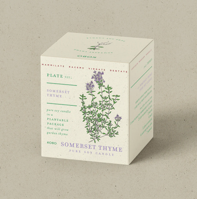 KOBO Somerset Thyme Plant The Box Candle