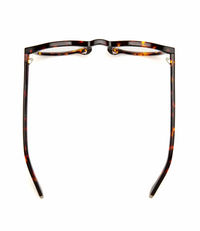 Caddis Dogleg Readers Turtle