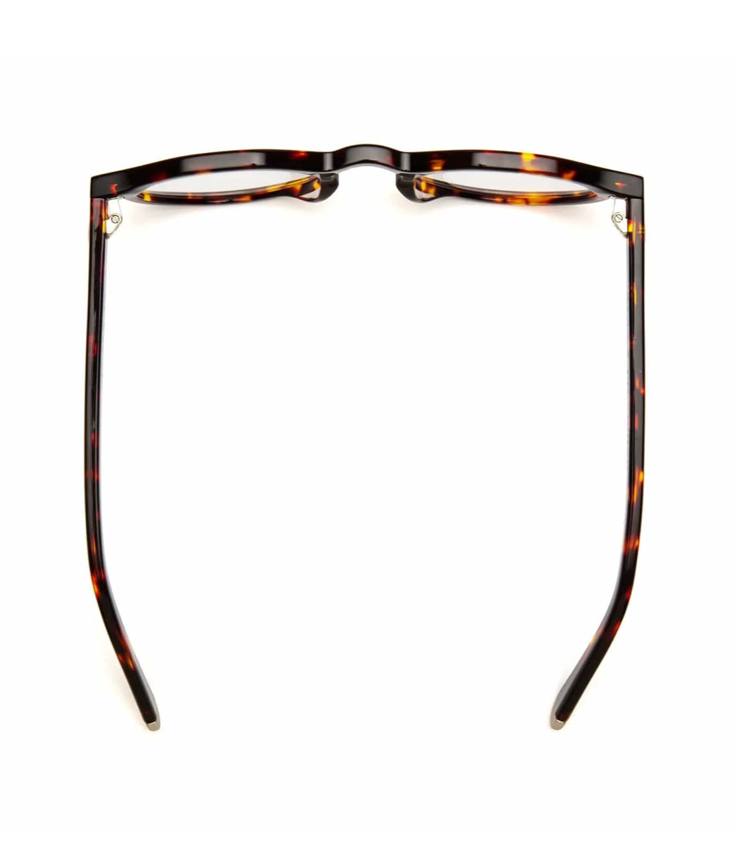 Caddis Dogleg Readers Turtle