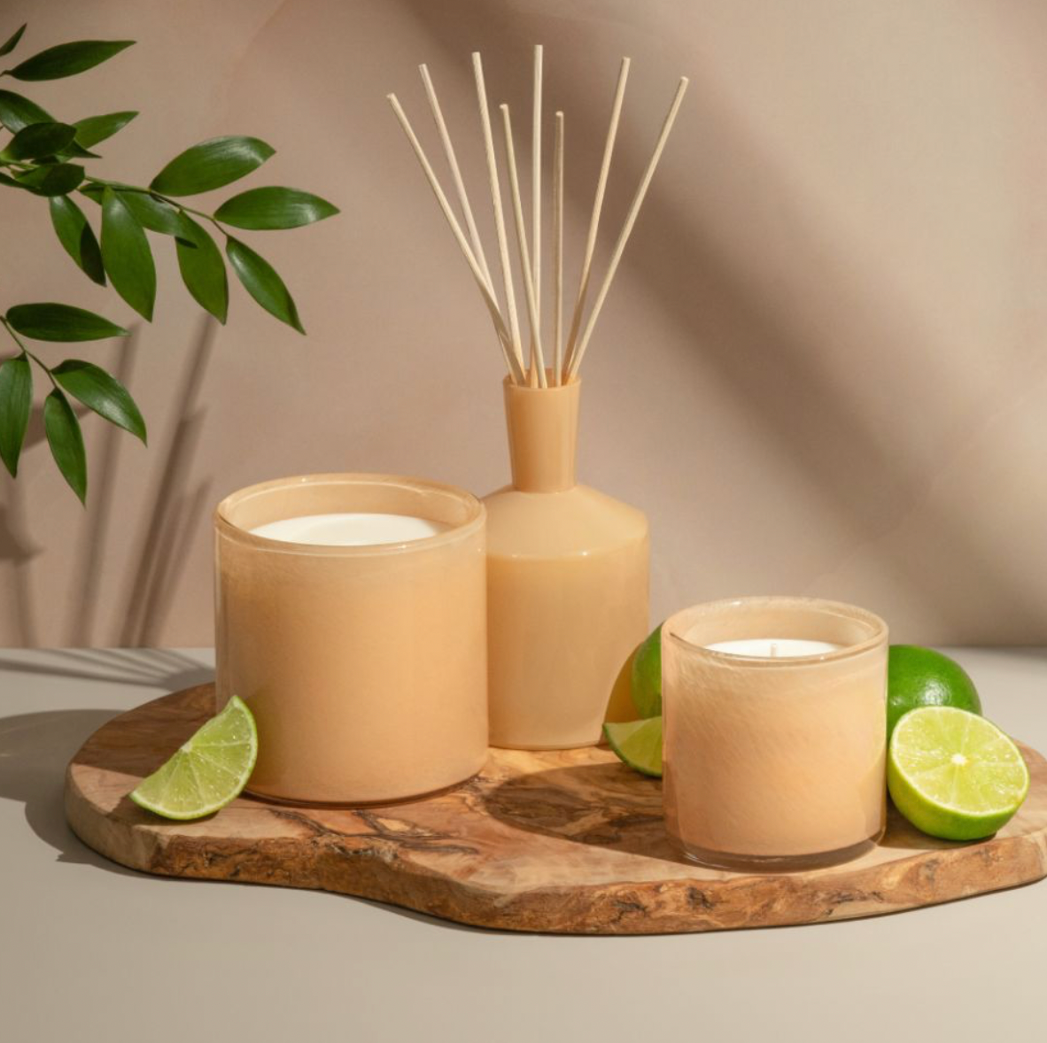Lafco Paloma Melon Classic 6.5oz Candle