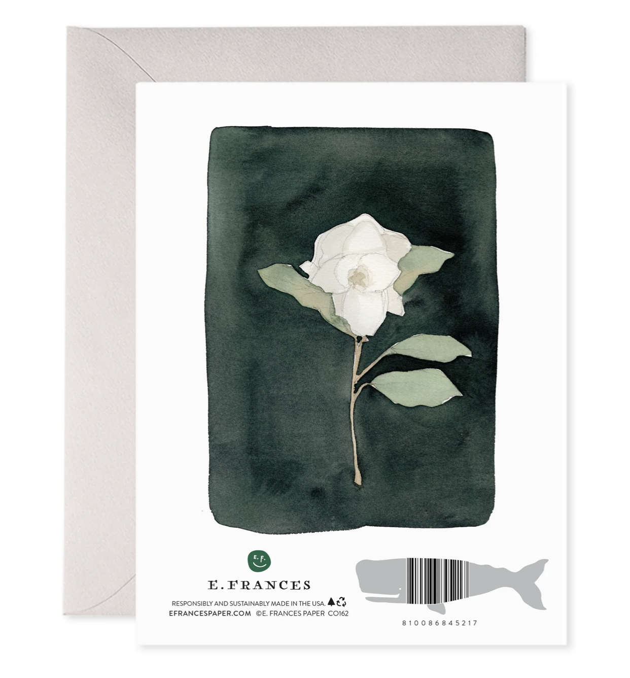 White Flower Card