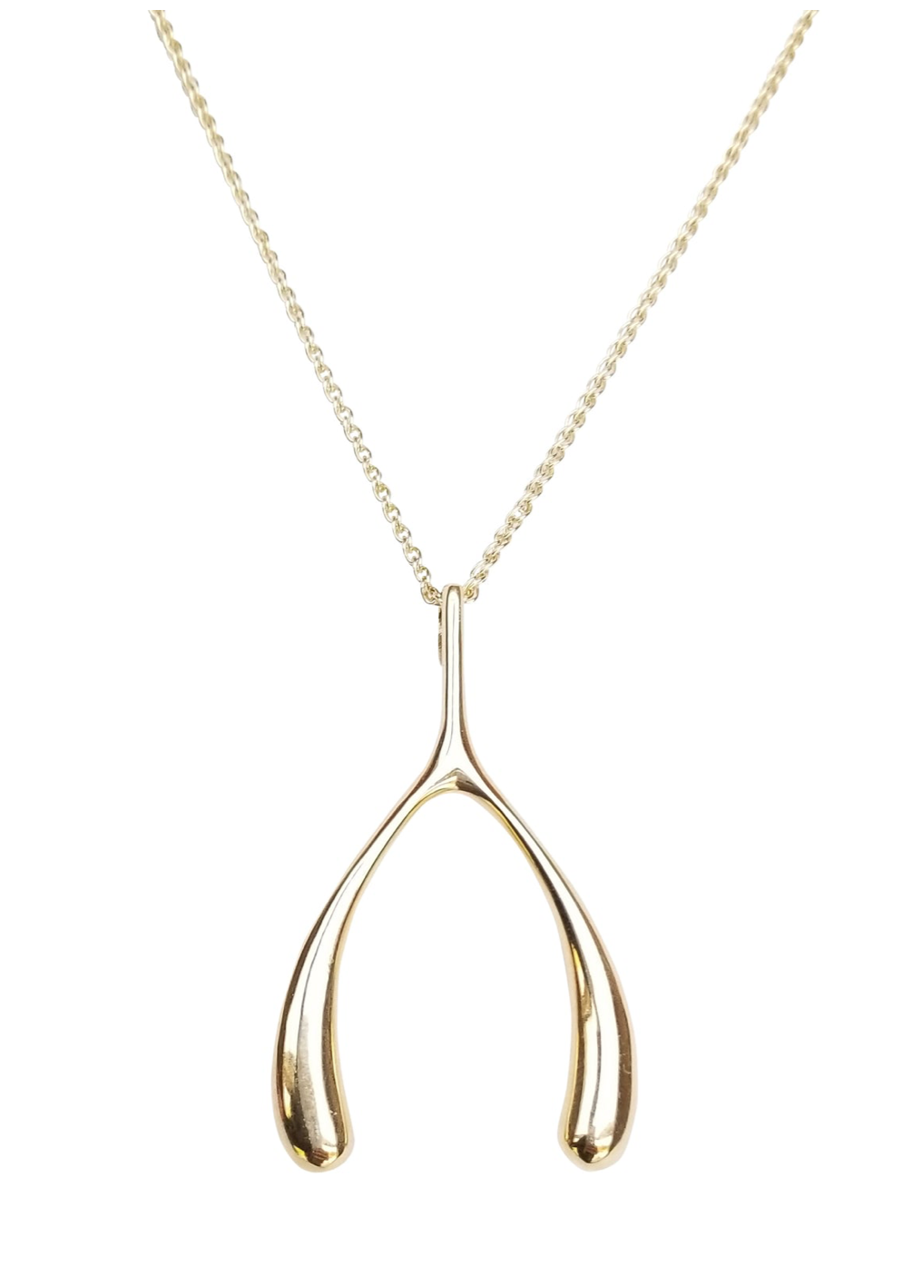 Jane Win Lucky Gold Wishbone Pendant