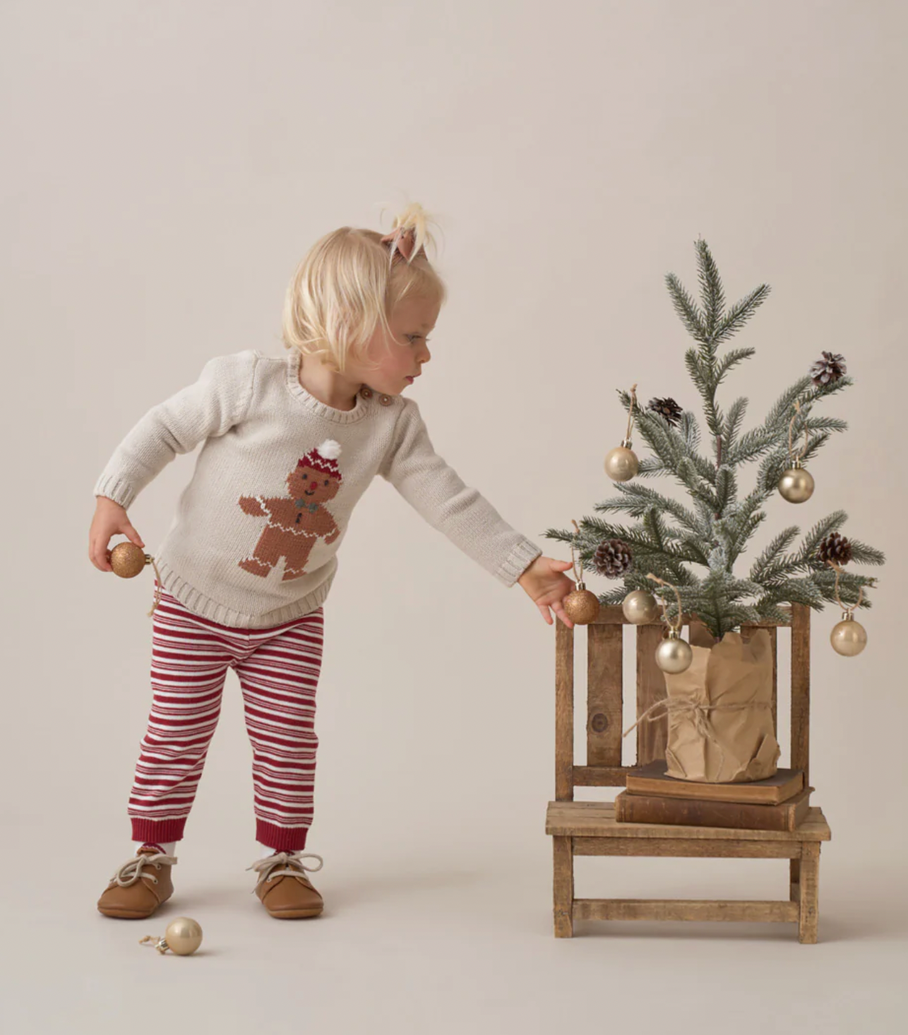 Gingerbread Holiday Pullover Set
