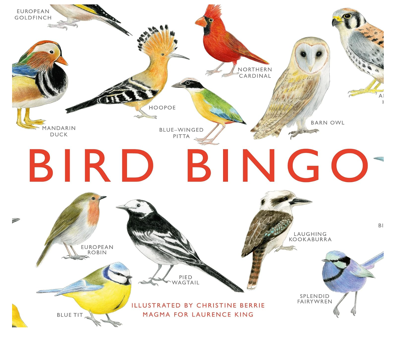 Bird Bingo