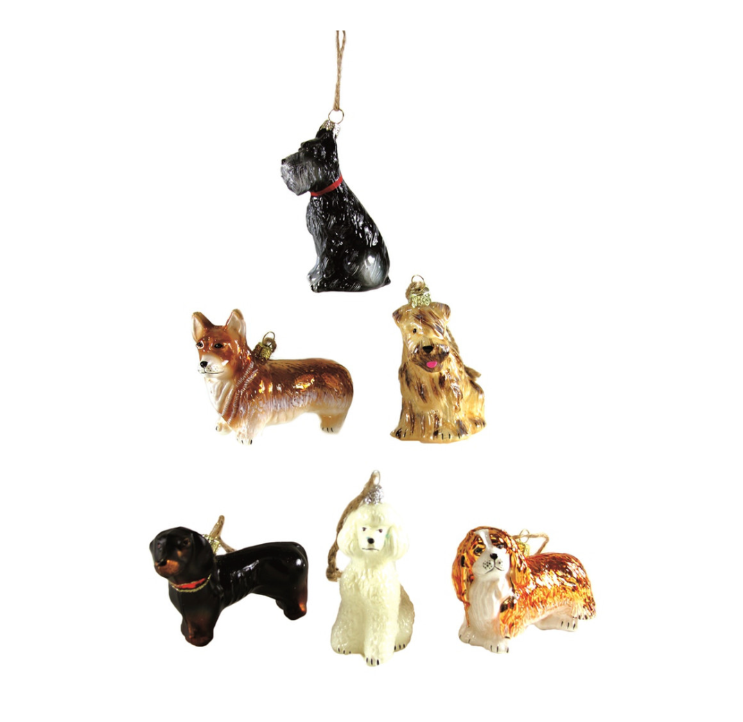 Glass Dog Ornament - Ast