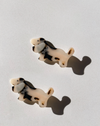 Dog Hair Clips - Set of 2