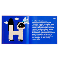 Cat Alphabet Book