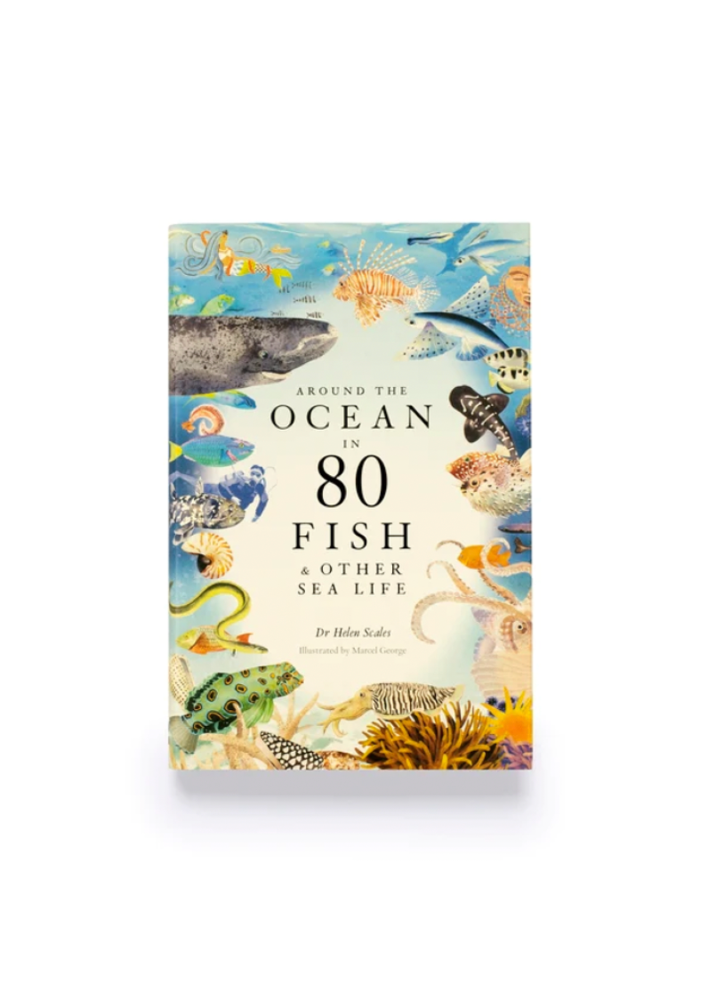 Around the Ocean in 80 Fish and other Sea Life