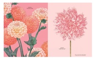 Petal