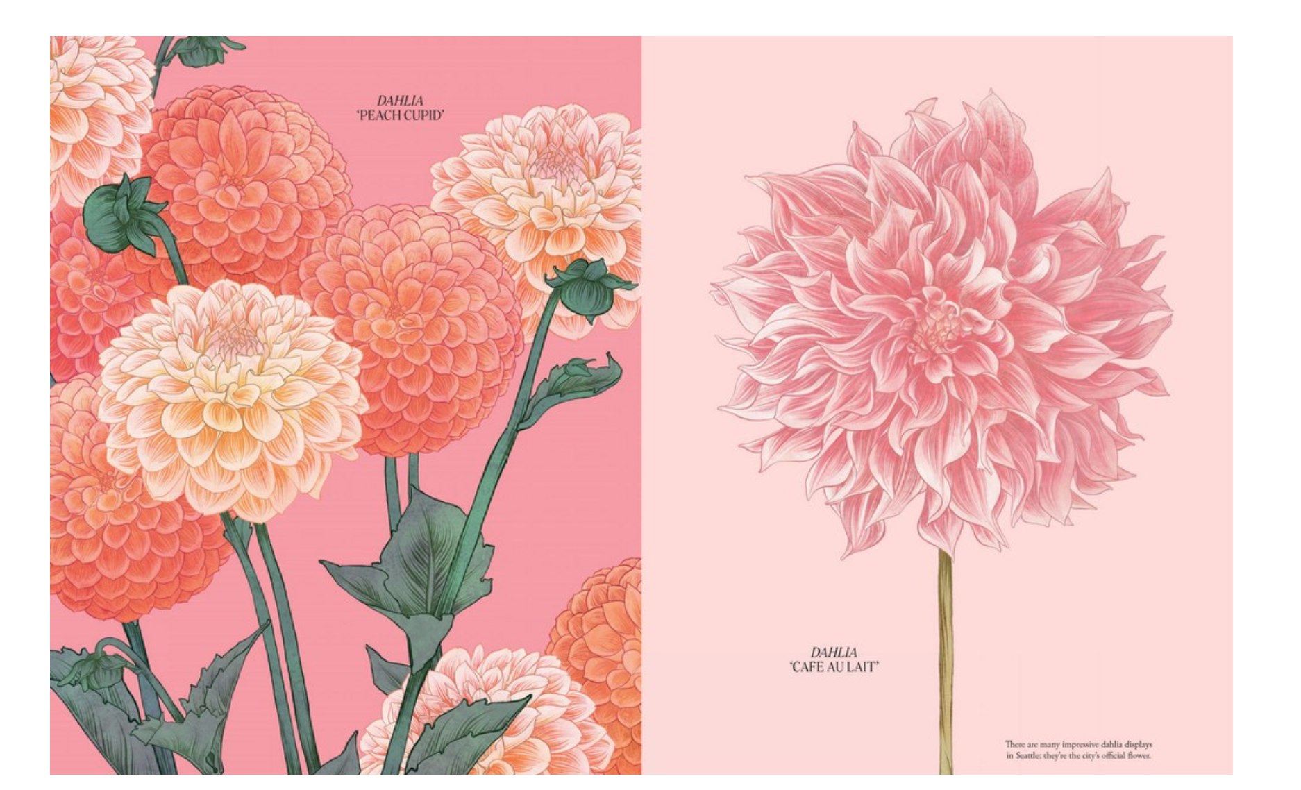 Petal