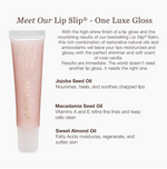 The Lip Slip Gloss