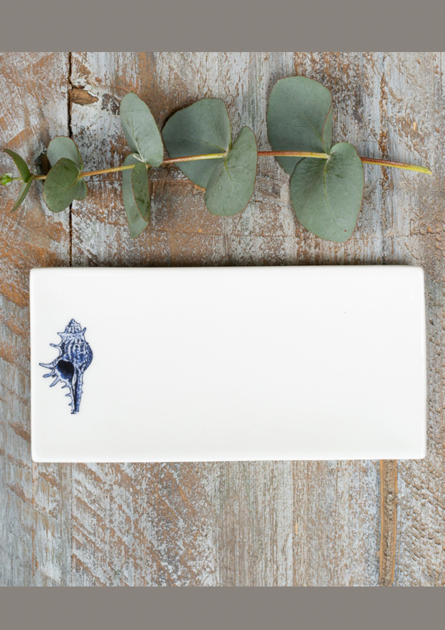 Conch Shell Soapdish