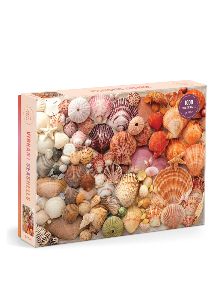 Vibrant Seashells Puzzle
