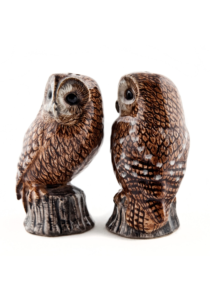Tawny Owl Salt & Pepper