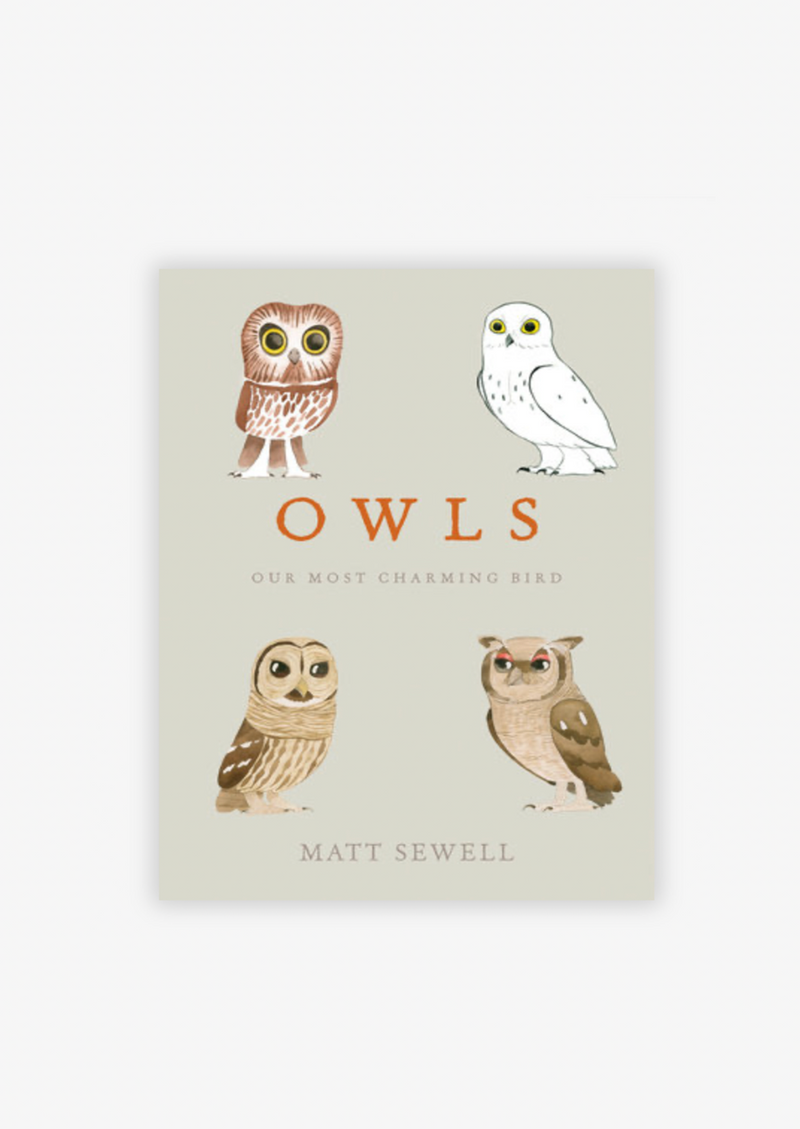 Owls