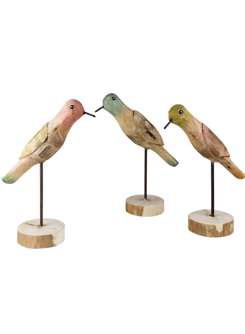 Wood Parakeets