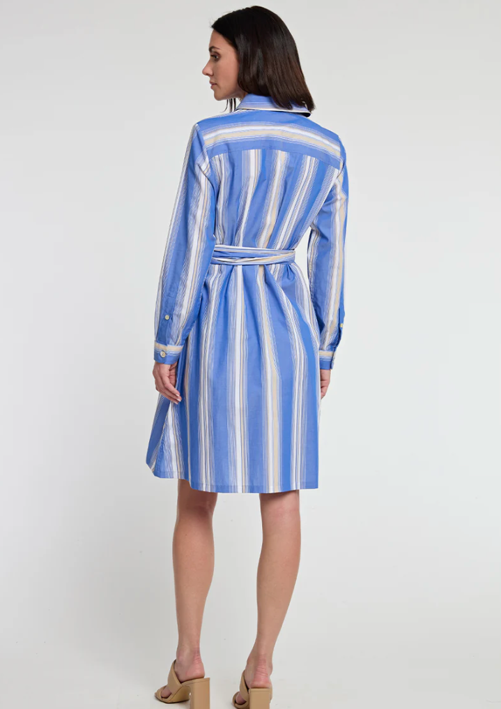 Tamron Long Sleeve Awning Stripe Print Dress